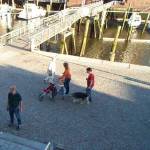 20050903-husum_3479